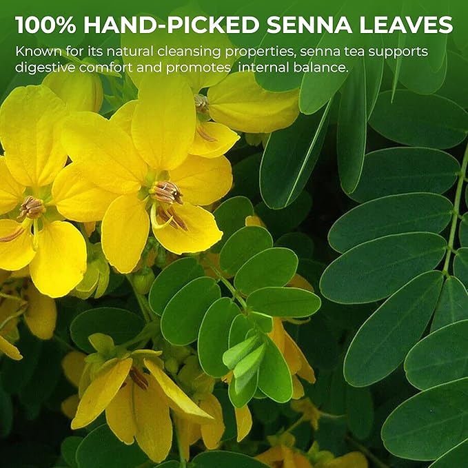 Senna Tea Bags - 55 Count (+5 Tea Bags), 5.29 oz, Bamboo Tong Included, Natural Senna Leaves, Supports Digestive Comfort & Gentle Cleanse, Slightly Bitter Herbal Tea for Daily Wellness - Bloomnest