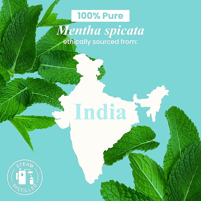 Handcraft Blends Spearmint Essential Oil – 1 Fl Oz – 100% Pure and Natural – Premium Grade Essential Oil for Diffuser and Aromatherapy, Skin, Massage, Candle and Soap Making Fragrance - Bloomnest