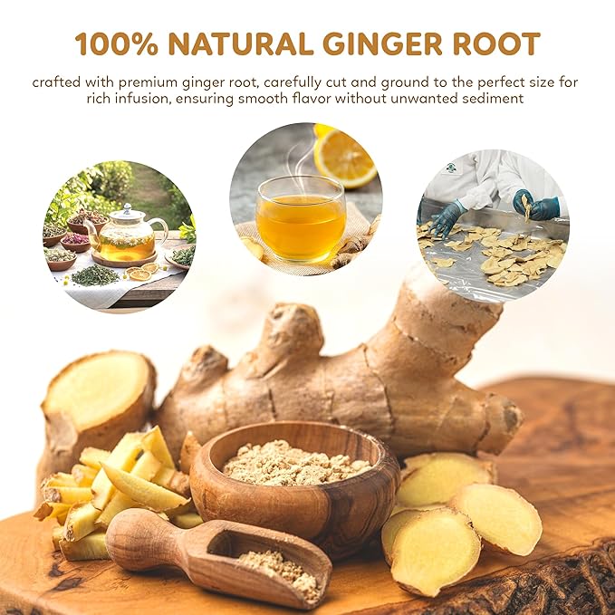 Indochine Blends Ginger Tea Bags | 100% Pure Ginger Root | Sugar-Free, Caffeine-Free Herbal Tea | Double Chamber, Individually Wrapped Bags| Rich in Natural Goodness and Flavor | 3.5 oz | 50 Tea Bags - Bloomnest