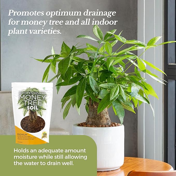 Professional Money Tree Soil | Large 2.2 Quarts Ready to Use for Money Tree Plants | Peat Moss, Coco Coir, Perlite, Dolomite | Made in USA - Bloomnest
