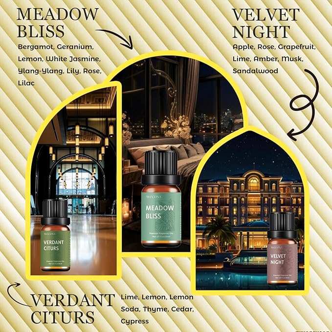 Premium Hotel Fragrance Oil Collection for Diffusers, Essential Oils for Diffusers for Home, Hotel Diffuser Fragrance Oils,Spa & Candle Making, White Tea, Citrus Luxe, Velvet Night and More - 6x10ml - Bloomnest