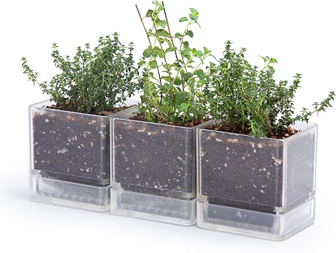 D'vine Dev 4 Inch Herb Planter Pot, Plastic Planter with Drainage Holes and Saucer, Modern Decorative Gardening Pot for Indoor Plants, Flowers, Herbs, Succulents, Clear, Set of 3, 76-Y-D-3 - Bloomnest