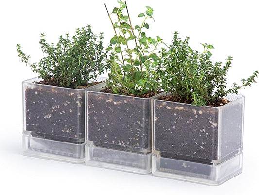 D'vine Dev 4 Inch Herb Planter Pot, Plastic Planter with Drainage Holes and Saucer, Modern Decorative Gardening Pot for Indoor Plants, Flowers, Herbs, Succulents, Clear, Set of 3, 76-Y-D-3 - Bloomnest