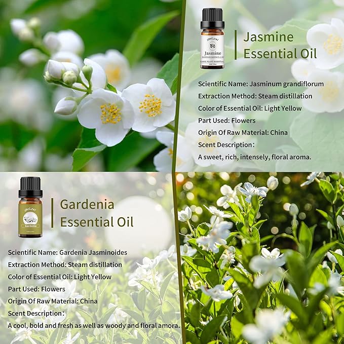 yethious Jasmine Gardenia Essential Oil Set 100% Pure Gardenia Fragance Oil Jasmine Aromatherapy Oils for Diffuser - 2 Pack 10ML - Bloomnest