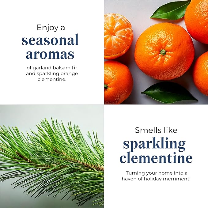 PartyLite 3-Wick Jar Candle, Highly Fragranced Clean Burning Glass Candle, 25-45 Hours Burn Time (Clementine Garland) - Bloomnest