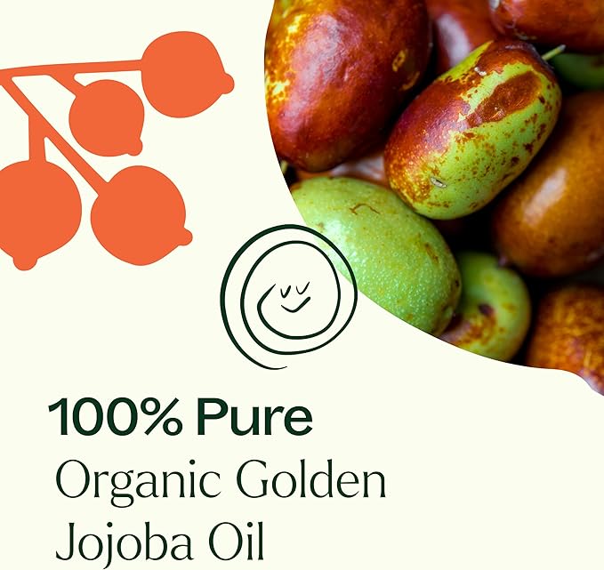 Plant Therapy Organic Jojoba Golden Carrier Oil 16 oz Base Oil for Aromatherapy, Essential Oil or Massage use