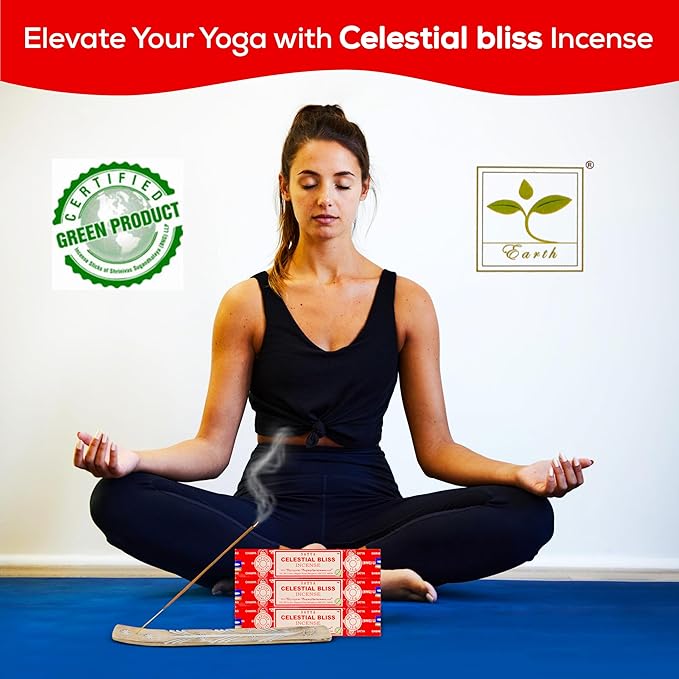 Raajsee Satya Celestial Bliss Nagchampa Incense, 15gmx3 Pack (12 Sets, 160 Pieces, 180g) with Raajsee Incense Holder - Bloomnest