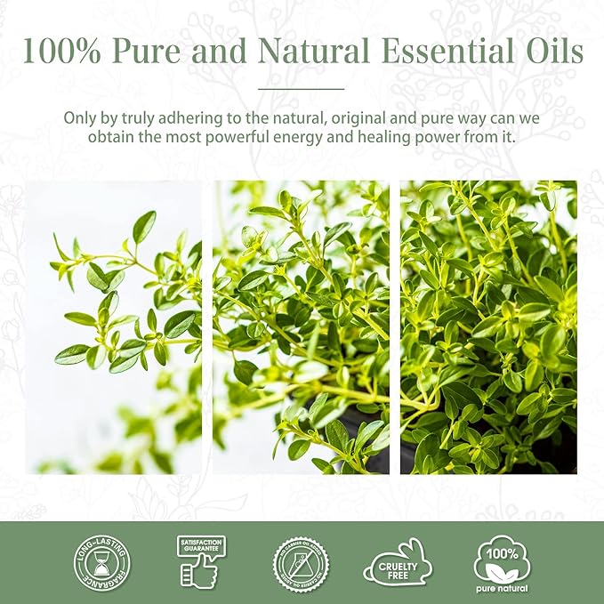 Thyme 3.38fl.oz Essential Oil, PHATOIL Aromatherapy Essential Oils for Diffuser, Humidifier, Perfect for DIY Soap, Candle, Bath Bombs Making(100ml) PHATOIL