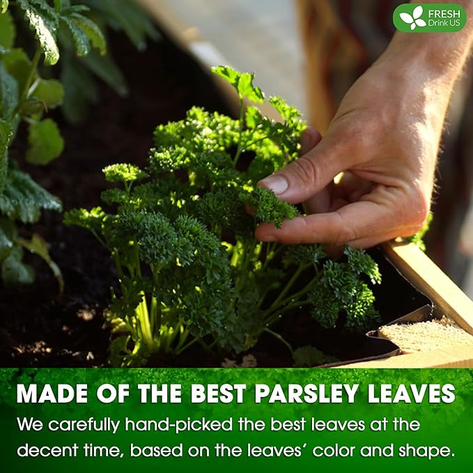 FreshDrinkUS, Premium 75 Parsley Leaf Tea Bags, 100% Natural & Pure from Parsley Leaves. Loose Leaf Parsley Herbal Tea. Made with Natural Material Tea Bags. No Sugar, No Caffeine, No Gluten, Vegan. - Bloomnest