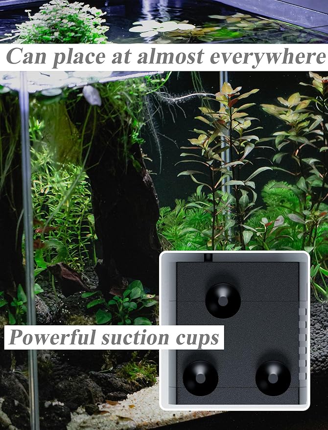 alizzy 100GPH Small Submersible Water Pump(360L/H, 5w), Ultra Quiet Water Fountain Pump with 3ft. High Lift and 6ft. power cord for Aquarium, Fish Tank, Water Feature, Pet Fountain and Hydroponics - Bloomnest