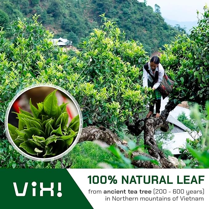 VIXI Green Oolong Tea Loose Leaf, 16.00 Oz, Vietnam's Mountain Tea, Caffeinated, Dried Whole Full Large Leaves, 100% Natural from Ancient Tea Tree, Perfect for Hot and Cold Brew - Bloomnest