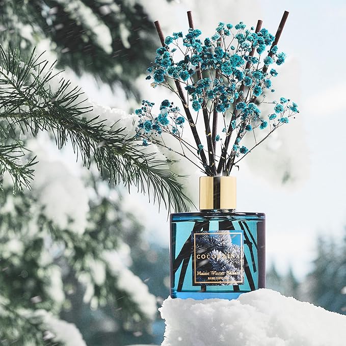 COCORRÍNA Reed Diffuser - Maine Winter Balsam Reed Diffuser Set with 8 Sticks & Preserved Baby's Breath, Reed Diffuser for Home Bathroom Shelf Decor - Bloomnest