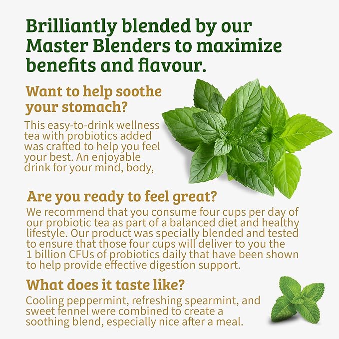 Twinings Superblends Probiotics+ Peppermint & Fennel Herbal Tea, 250 Million CFUs per Cup, 18 Tea Bags (Pack of 2), Naturally Caffeine-Free, Enjoy Hot or Iced - Bloomnest