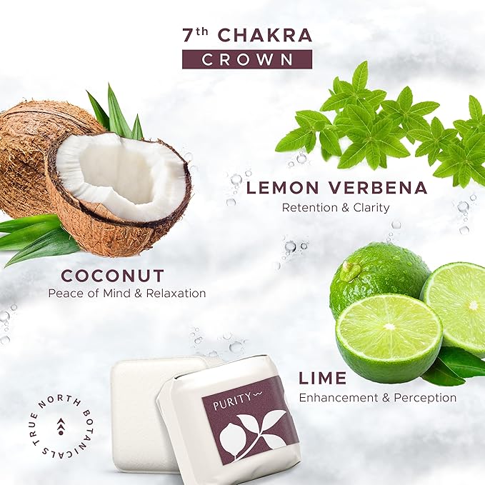 Large Shower Steamers (12 Pack-1.75oz Each) Chakra Aromatherapy Optimism & Self-Esteem-Ideal Men/Women/Teens Christmas & Birthdays (7th Chakra - Verbana, Coconut, & Lime) - Bloomnest