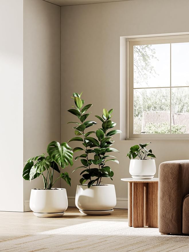 LE TAUCI Ceramic Planter, 10 Inch Plant Pot with Drainage Hole & Saucer – Durable Indoor Planter for Modern Home Decor, White - Bloomnest