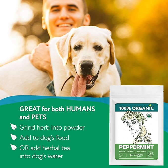 Organic Peppermint Tea Bags (40 TeaBags) - Peppermint Tea Organic - Te de Menta Organico Natural - Herbal Tea for Energy, Digestion, Nausea, Motion Sickness, Respiratory Support, Stress Relief - Bloomnest