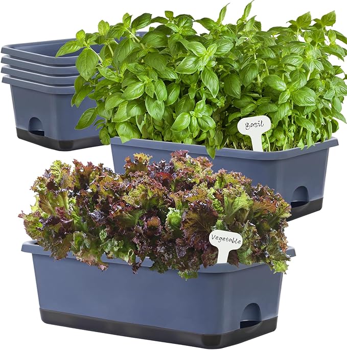Window Box Planter 6 Pcs, 18 Inches Rectangle Flower Pots with Drainage Holes and Trays, Vegetable Planters for Windowsill Patio Garden Balcony Home Porch Yard Indoor Outdoor (Grey, 18*10*6 inch) - Bloomnest