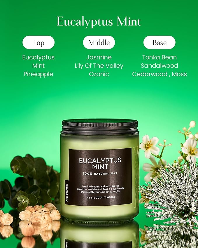 M&SENSE Eucalyptus & Mint Candles for Home Scented, Clean Non Toxic Aromatherapy Candle Gift 7.05oz 50 Hours Burn for Stress Relief Meditation Yoga Relaxing SPA - Bloomnest