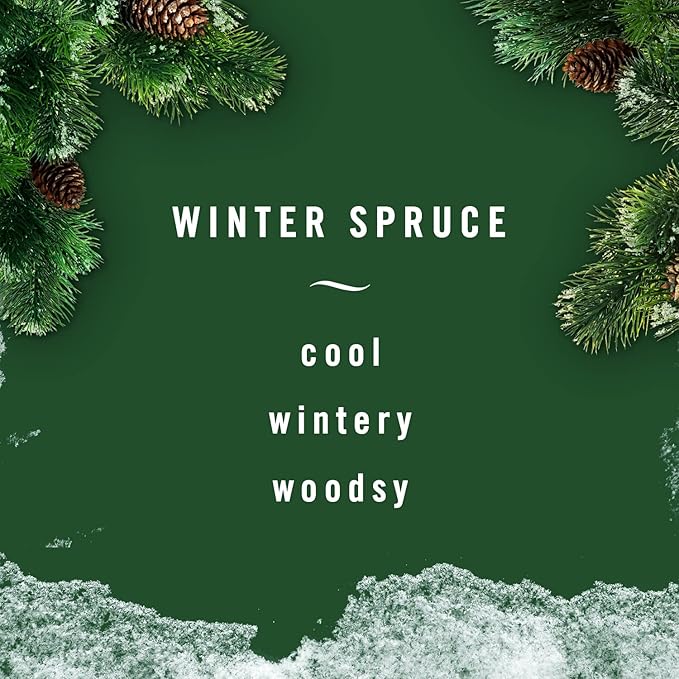 Febreze Small Spaces Air Freshener Limited Edition Scents (Winter Spruce, 2 Pack) - Bloomnest
