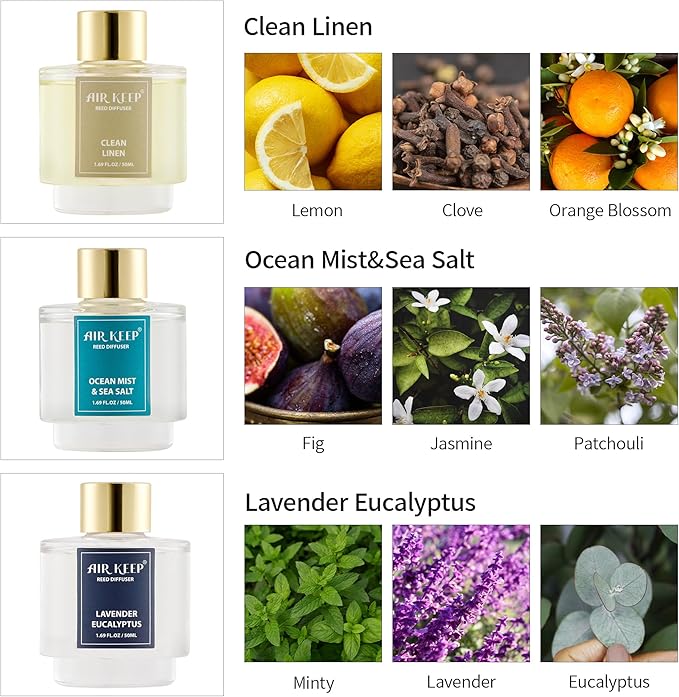 Airkeep Reed Diffuser Set of 3,Clean Linen Ocean Mist&Sea Salt Lavender Eucalyptus Oil Reed Diffusers for Bedroom Living Room Office Aromatherapy Oil Reed Diffuser for Gift 50ml x 3 - Bloomnest