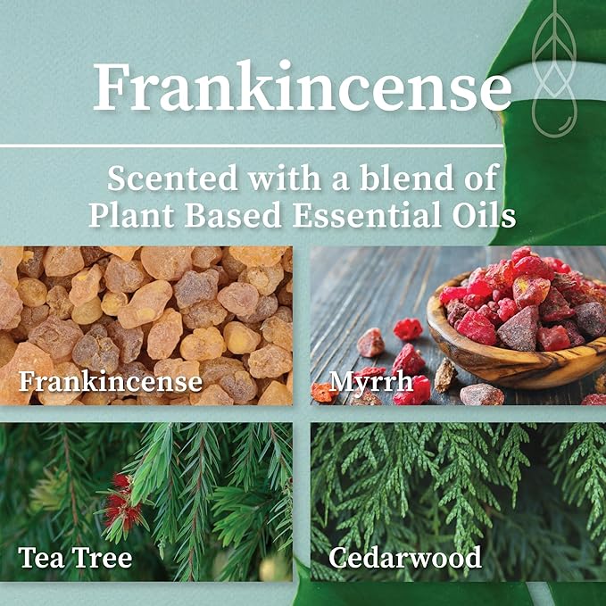Hemlock Park Crackling Wood Wick Candle Handcrafted with Natural Coconut Wax (Large 16 oz, Frankincense) - Bloomnest