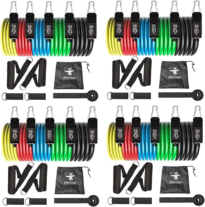 BodyForge Resistance Bands, Exercise Bands, Resistance Bands for Working Out, Work Out Bands with Handles for Men and Women Fitness, Strength Training Home Gym Equipment