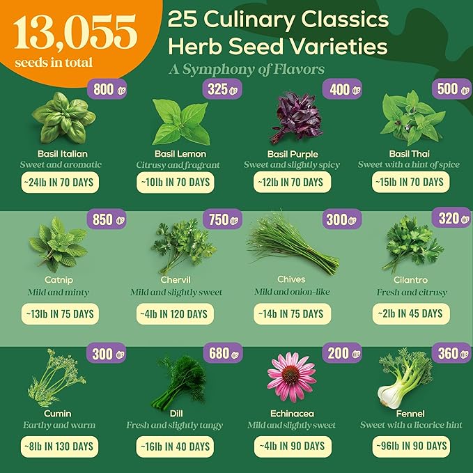 25 Culinary Herb Seeds Variety Pack - 13,055+ Non-GMO Heirloom Herbs Seeds for Planting Indoor & Outdoor: Rosemary, Basil, Catnip, Cilantro, Dill, Parsley, Oregano, Thyme, Mint, Tarragon, Lavender - Bloomnest