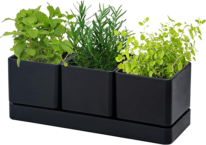 D'vine Dev Herb Garden Planter Set, Plastic Plant Pots with Drainage and Saucer, Indoor Succulent Cactus Vegetable Pot for Windowsill, Garden Balcony, Black, Set of 1, 76-V-B-1 - Bloomnest
