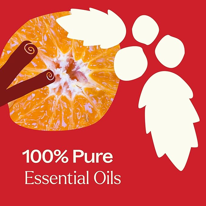 Plant Therapy Nutcracker Holiday Essential Oil Blend 10 mL (1/3 oz) Warm, Woody, and Festive Aroma, Relaxing & Uplifting, Perfect for Cozy Holiday Moments - Bloomnest
