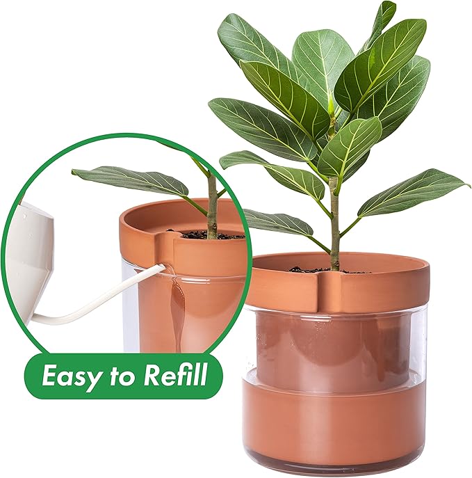 Phoenix Vine 8 Inch Self Watering Planter Pot, Terracotta Clay Pot with Glass Reservoir for Indoor Plants, Herbs, Flowers, Set of 1, 52-A-H-1 - Bloomnest