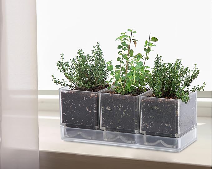 D'vine Dev Herb Garden Planter Set, Plastic Plant Pots with Drainage and Saucer, Indoor Succulent Cactus Vegetable Pot for Windowsill, Garden Balcony, Clear, Set of 1, 76-V-D-1 - Bloomnest