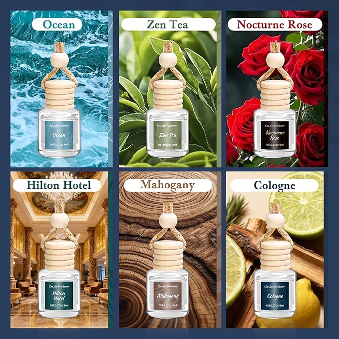 Premium Car Air Freshener, 6 Pack Deep Luxury Scent Essential Oil Diffuser, Long Lasting Fragrance Interior Decor Unisex,Hanging Aroma Diffuser Executive Business Car Accessories Mens Gifts - Bloomnest
