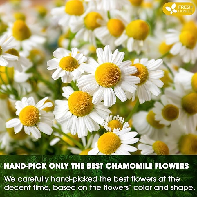 FRESHDRINKUS, Premium 25 Chamomile Tea Bags, 100% Natural and Pure Chamomile Flowers, Eco-conscious Tea Bags. Chamomile Flower Herbal Tea. No Sugar, No Caffeine, No Gluten, Vegan. - Bloomnest