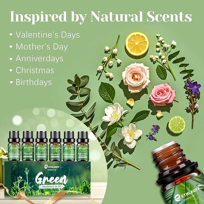 Fragrance Oils Set, Essential Oils for Diffuser for Home, Candle Sopa Making - Enchanted Forest, Willow and Ivy, Clover and Aloe, Fresh Bamboo, Scented Oil Gift Set - Bloomnest