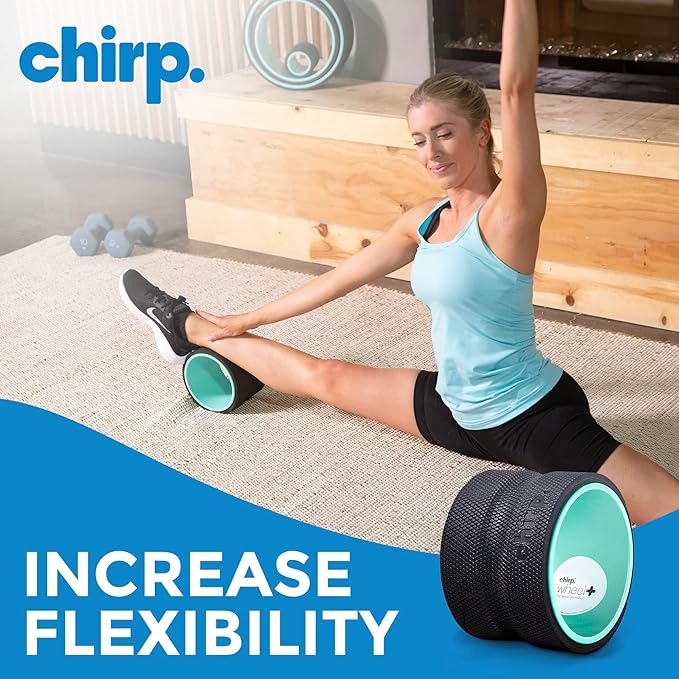 Chirp Wheel Foam Roller – Targeted Back & Neck Relief, Lumbar Spine Stretcher, Spinal Decompression Back Stretcher, Massage Roller with Density Foam for Physical Therapy, Supports 500lbs, 6-Inch Mint - Bloomnest