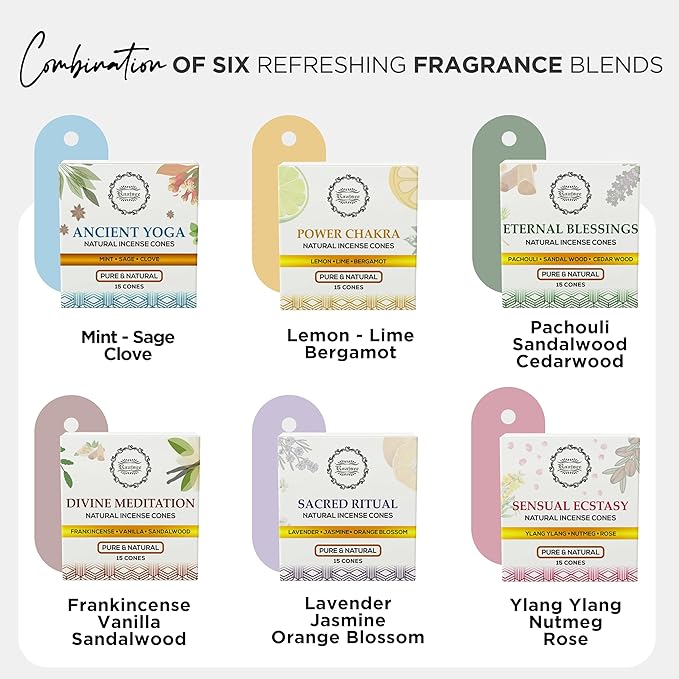 Raajsee Natural Incense Cones,6 Pack Mixed Scents Gift Pack 15 pc Each (90 Total), Insense Cones Variety Pack, 100% Organic Non Toxic Natural - Hand Rolled Free from Chemicals (Pack 3) RAAJSEE