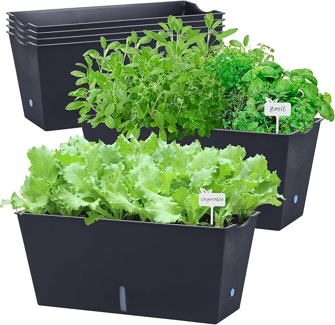 Window Box Planter 6 Pcs, 16.5 Inches Self Watering Rectangle Flower Plant Pots with Drainage Holes Trays, Vegetable Planters for Windowsill Patio Garden Balcony Porch Yard (Black) - Bloomnest