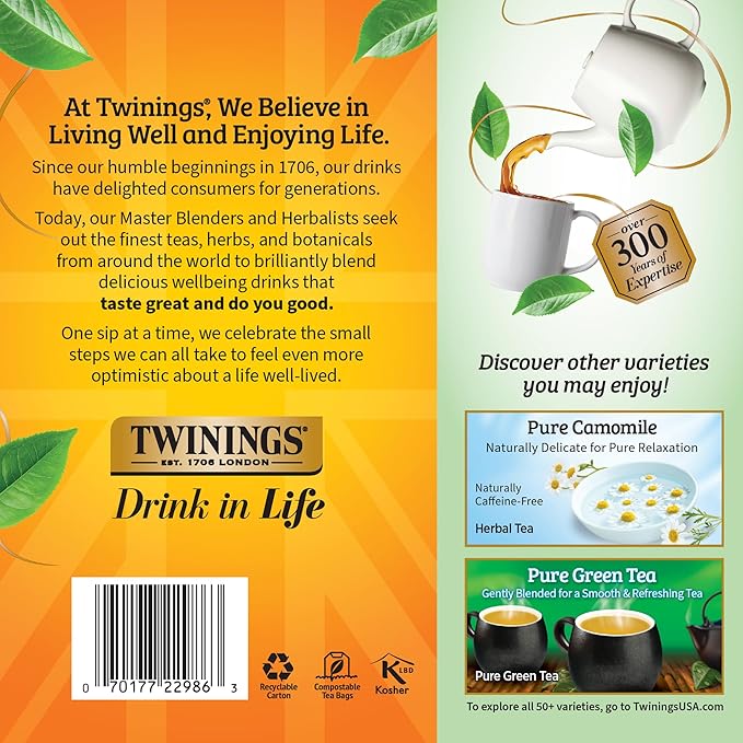 Twinings Pure Peppermint Herbal Tea Individually Wrapped Bags, 100 Count (Pack of 1), Fresh Minty Flavour, Naturally Caffeine-Free, Enjoy Hot or Iced, 100 Teabags - Bloomnest