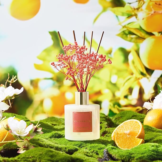 COCORRÍNA Reed Diffuser - Orange Blossom 6.76 Fl.oz Reed Diffuser Sets with Preserved Flowers, Diffuser with 8 Sticks for Bathroom Shelf Decor - Bloomnest