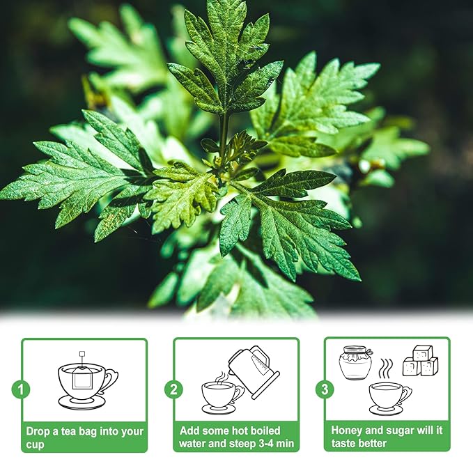 TEARELAE - Mugwort Tea - 2g x 30 Count - 100% Pure Natural Dried Herbs - Premium Mugwort Herb Dried - Non-GMO - Sulfur-free - Bloomnest