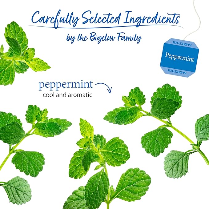 Bigelow Tea Peppermint Herbal, Caffeine Free, 20 Count, Pack of 6 - Bloomnest