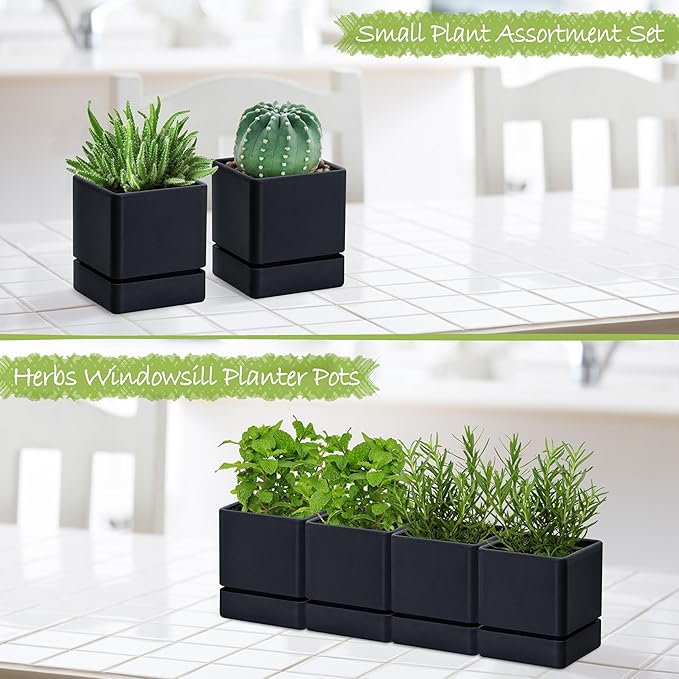 4 Inch Herb Planter Pot, Plastic Planter with Drainage Holes and Saucer, Modern Decorative Gardening Pot for Indoor Plants, Flowers, Herbs, Succulents, Black, Set of 4, 76-Y-B-4 - Bloomnest