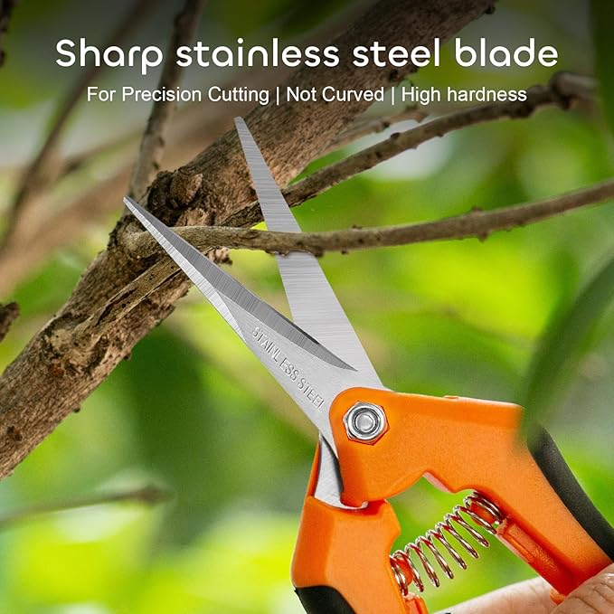 GROWNEER 6 Packs Pruning Shears Gardening Hand Pruning Snips with Straight Stainless Steel Precision Blades - Bloomnest
