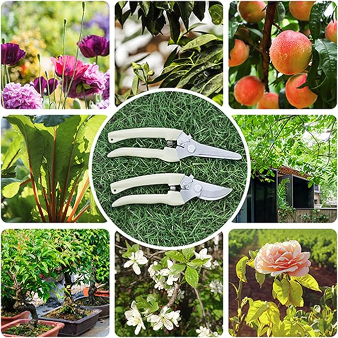 Premium garden shears, meperez pruning scissors gardening tools, pruners for flower, bushes, rose and fruit tree, use for florist, yard and orchard the plant clippers, sharp white steel anvil snips, 2 - Bloomnest