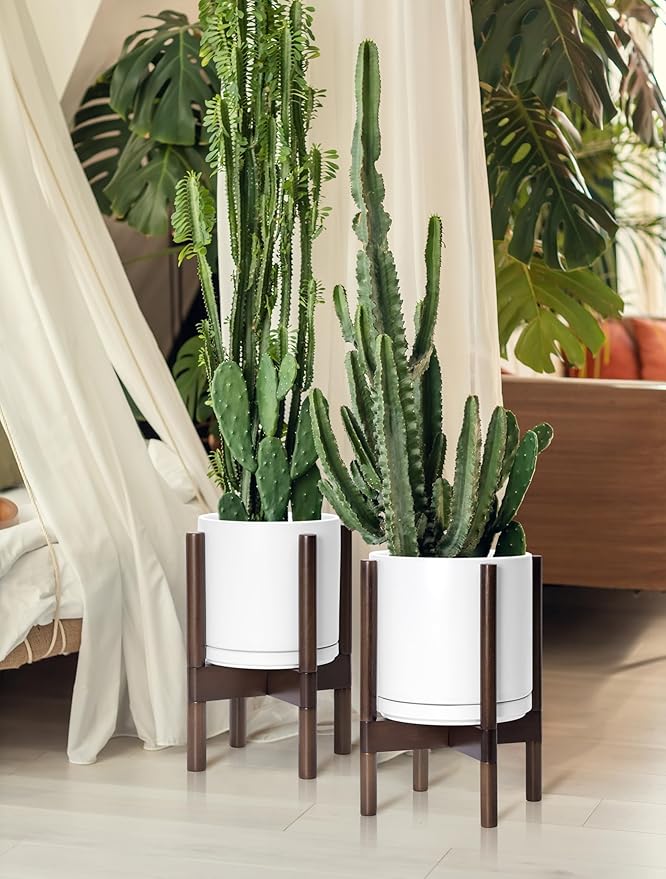 D'vine Dev Ceramic Planter with Walnut Color Stand - 8 Inch Modern Round Flower Pot with Wood Planter Holder, White, 55-B-Y-1 - Bloomnest