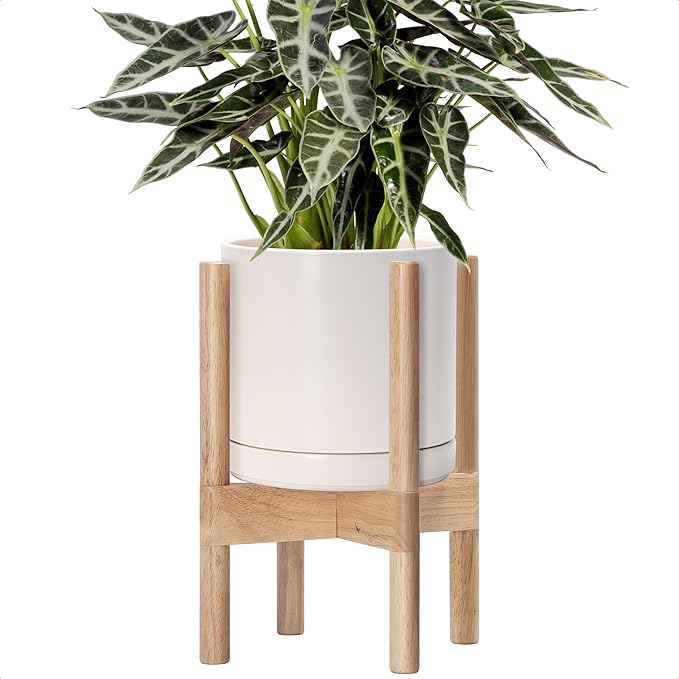 D'vine Dev Ceramic Planter with Natural Stand - 8 Inch Modern Round Flower Pot with Wood Planter Holder, Oatmeal, 55-B-N-8 - Bloomnest