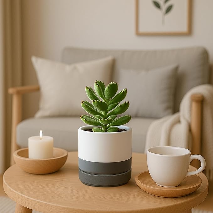 D'vine Dev Set of 4 Small Ceramic Plant Pots, 4.7 Inch Succulent Planter Pot for Plants with Drainage Hole and Saucer, White/Speckled Grey, 94-X-B-6 - Bloomnest