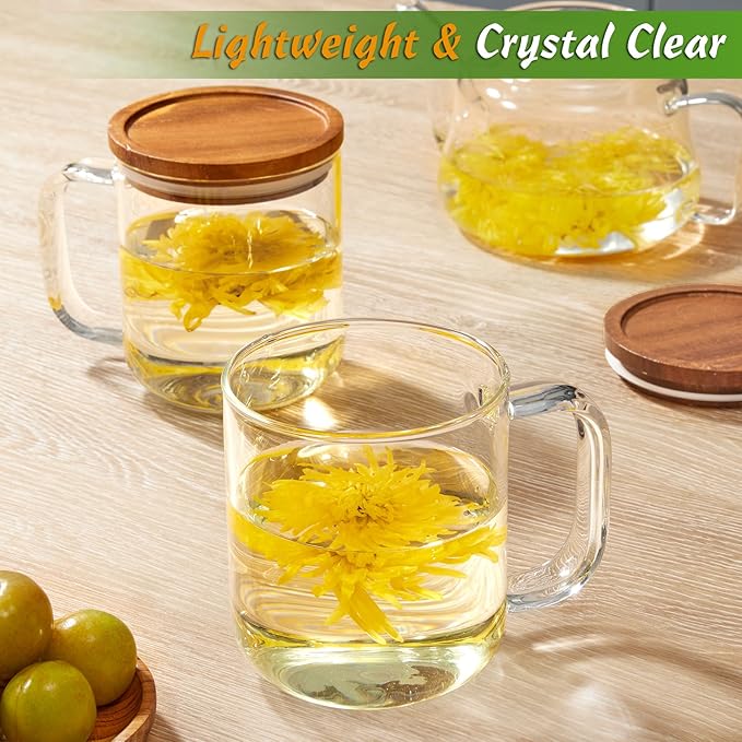 DRASTAR Glass Coffee Cups, 16 oz Coffee Mugs, Flat Bottomed Cups with Acacia Wood Lid, Glass Tea Cup with Handle, Clear Tea Cup Set of 2 - Bloomnest