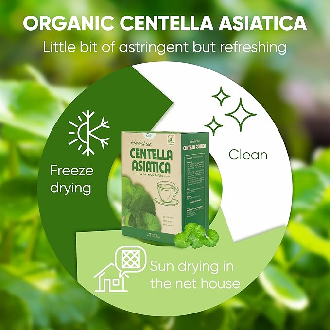 NMPT Centella Asiatica Leaf Tea, 100% Hand Pick, Organic Herbal Tea, 40 Count, Freeze Drying, Gluten Free, Dairy Free, No Sugar Added, Energy Boost & Health Support, 0.07 Oz Each - Bloomnest