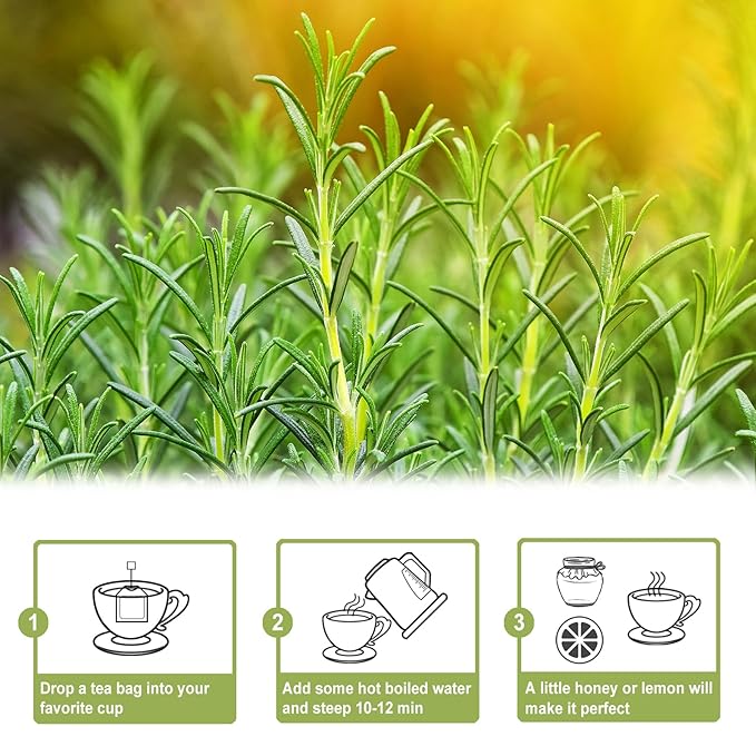 TEARELAE - Rosemary Tea - 1.5g x 50 Count - 100% Pure Rosemary Leaves Tea Bag - Country of Origin Egypt - Aid Digestion & Support Respiratory Health - Bloomnest